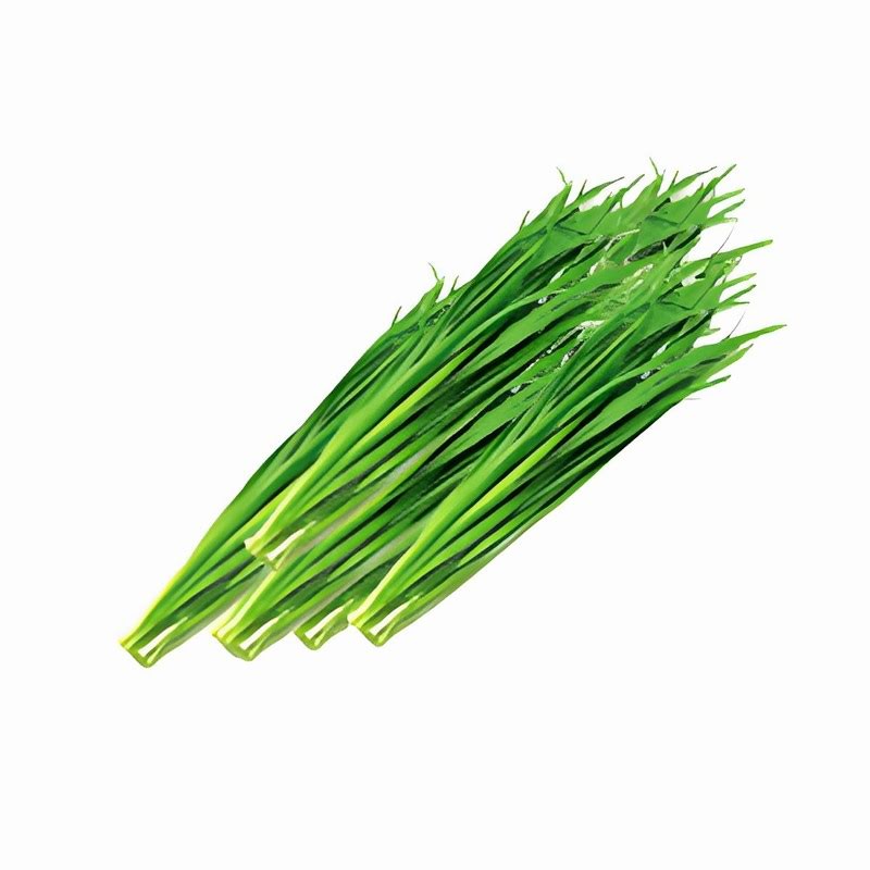 蔬菜配送路上的坚守与责任