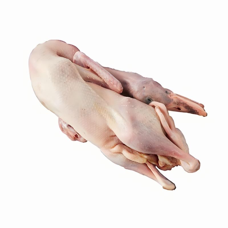 专业蔬菜配送，为生鲜食材供应保驾护航